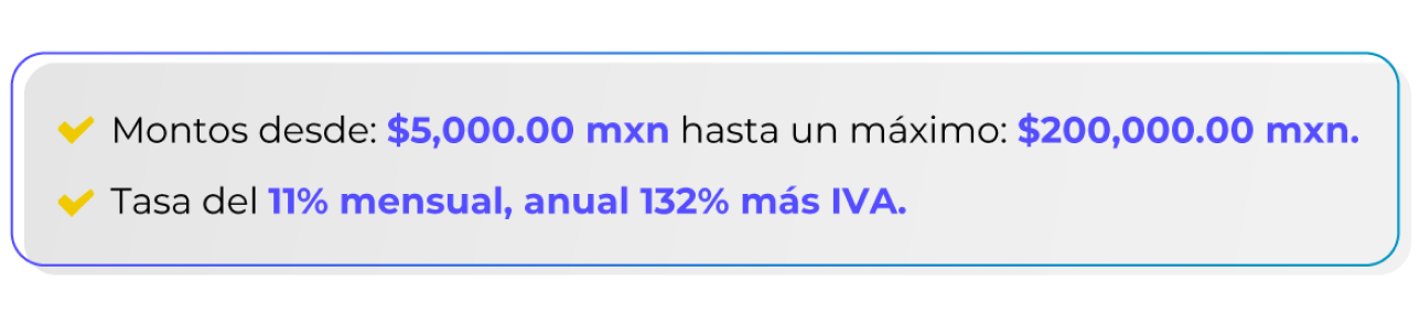 The Bold Flex That Made Seals Go Viral Overnight